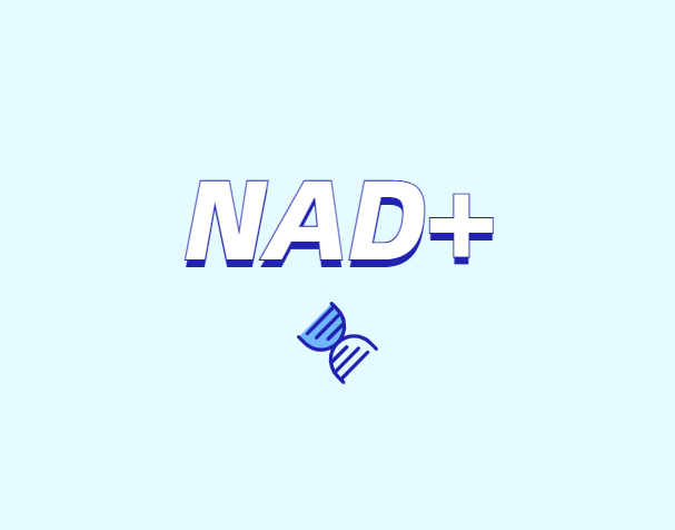 NAD與NMN的全新概念？